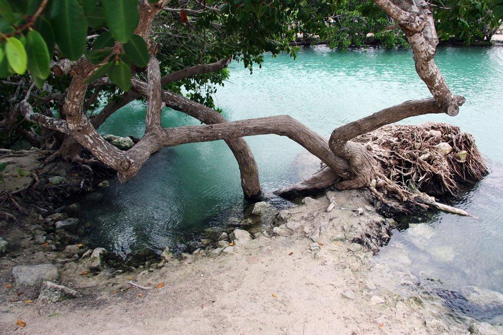 Hôtel Casa Laguna Lagartos à Río Lagartos Extérieur photo